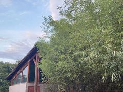 -Supine Bistro溯泮餐厅