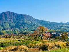 -塔川景区