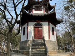 -上海佘山国家森林公园天马山园