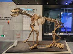 -北京周口店北京人遗址博物馆