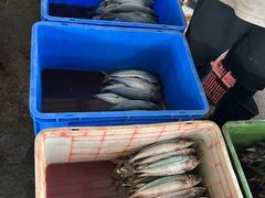 -尼甘布海鲜市场