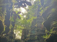 -梭布垭石林景区