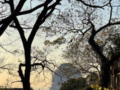 -上海佘山国家森林公园西佘山园