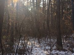 -帽儿山国家森林公园