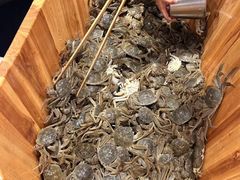 -初色海鲜自助(万丰路店)