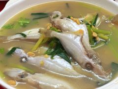 -蛇口康乐快餐鱼仔档(翠苑小区店)