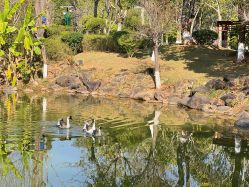 -昆明梦想医疗美容医院