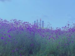 -光明小镇欢乐田园