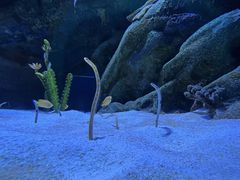 -海合安成都极地海洋公园