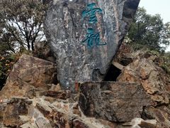 -惠山国家森林公园