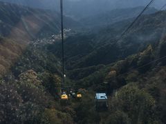 -王顺山国家森林公园