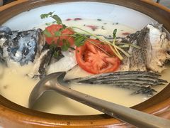 -全乐鱼馆·淳牌有机鱼直营店