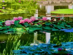 -国家植物园南园