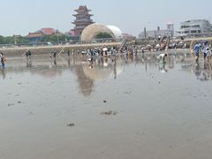 -奉贤海滩
