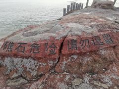 -巨鹏飞梦幻海岸