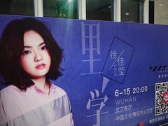-武汉客厅中国文化博览中心