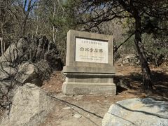 -白水寺森林公园