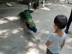 -史努比缤纷世界