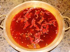 中辣牛油红锅·-小龙坎火锅(黄河店)