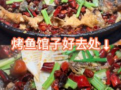 -老板恋上鱼(高新万达店)