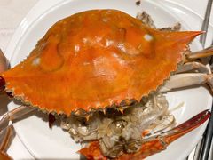 -悦港(悦港酒店)