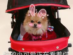 -首开·龙湖成都西宸天街