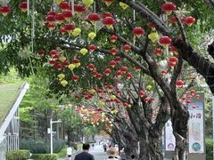-厦门园林博览苑