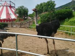 -无锡动物园·太湖欢乐园