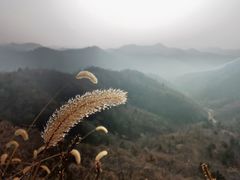 -蟠龙山长城景区