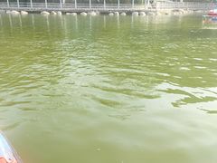 -莲湖公园