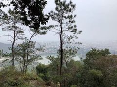-风云岭森林公园