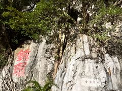 -星湖旅游景区七星岩