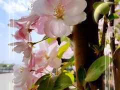 -大兴滨河森林公园