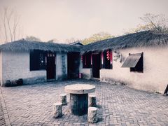 -溱湖国家湿地公园