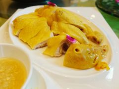 -锦江宾馆-花园餐厅