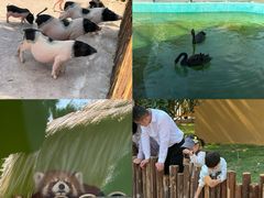 -福州罗源湾海洋世界旅游区