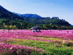 -径山花海