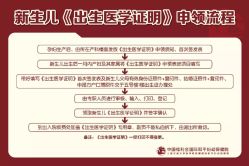 -中国福利会国际和平妇幼保健院(徐汇院区)