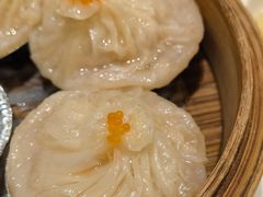 -欢乐海岸美食联盟