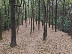 -广州市白云山风景名胜区