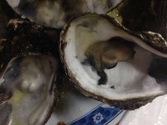 辉哥生鱼片-垦丁辉哥生鱼片