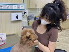 -美联众合动物医院·24h转诊中心
