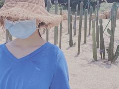 -东莞植物园
