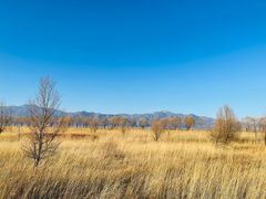 -野鸭湖国家湿地公园