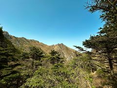 -牛背梁国家森林公园