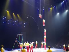 -重庆国际马戏城