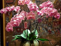 -龙悦湾酒家·八阵鱼生·渔人码头店