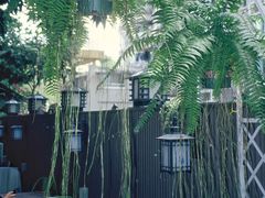 -绿房子方寸咖啡(星海名城店)