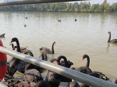 -艾溪湖湿地公园