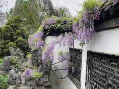 -何园